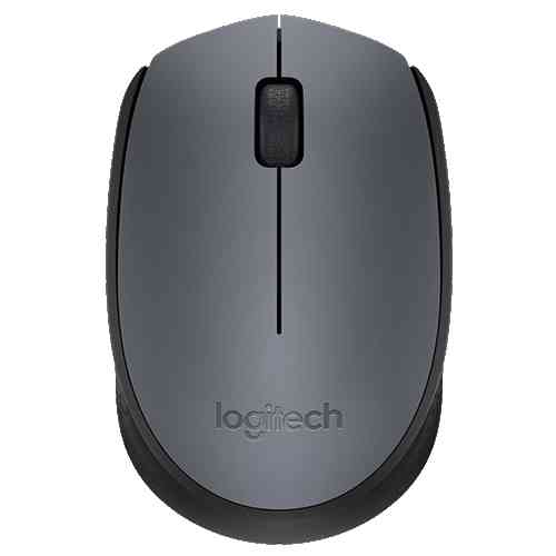 (910-004424) Logitech Wireless Mouse M171, Black мышь
