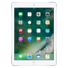 Apple iPad Pro 9,7" WiFi 256Gb Silver