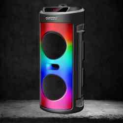 GINZZU GM-231 акустическая система