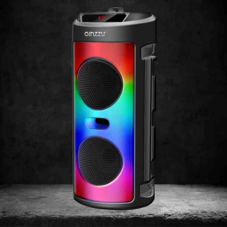 GINZZU GM-231 акустическая система