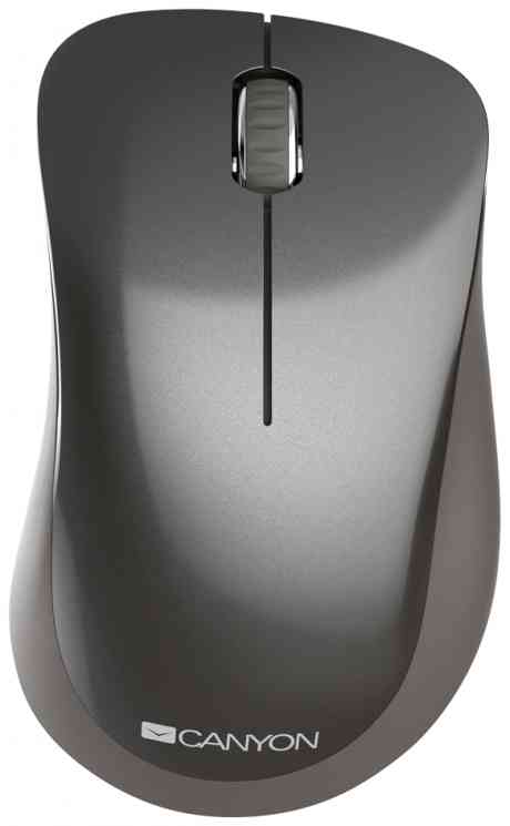CANYON MW-911,1200 DPI, 2 кнопки, темно-серый (CNS-CMSW911DG) Бес мышь