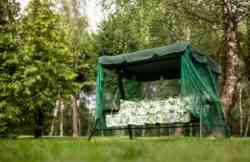 OLSA Варна с820 