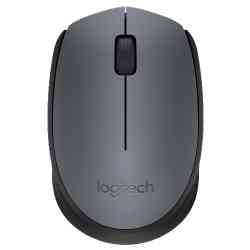 (910-004424) Logitech Wireless Mouse M171, Black мышь