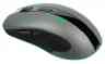 JET.A OM-R53G LED серая (800-1600dpi, 6 кнопок, LED-подсветка, USB) Бес мышь