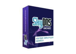 SkyDNS Бизнес