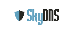 SkyDNS Домашний