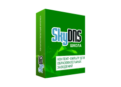 SkyDNS Школа Учебные заведения и библиотеки