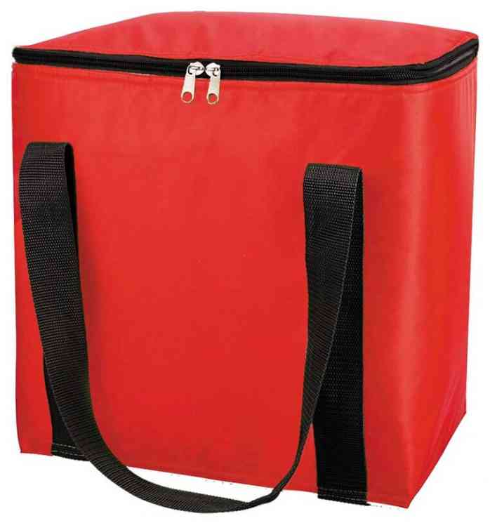 Термосумка 18л CB-99 32*21*32 см (24)