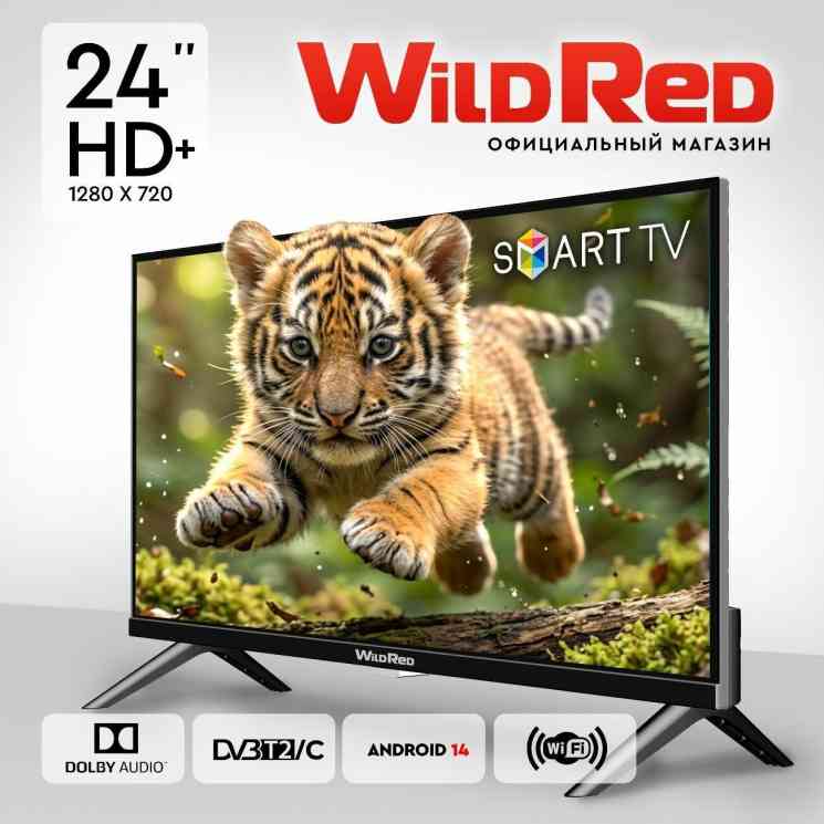 WILDred 24QWS9001 SMART ЖК- Телевизор