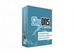 SkyDNS.Бизнес Z комплект