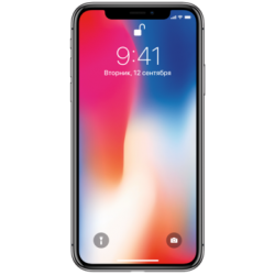 Apple iPhone X 256Gb Space Gray