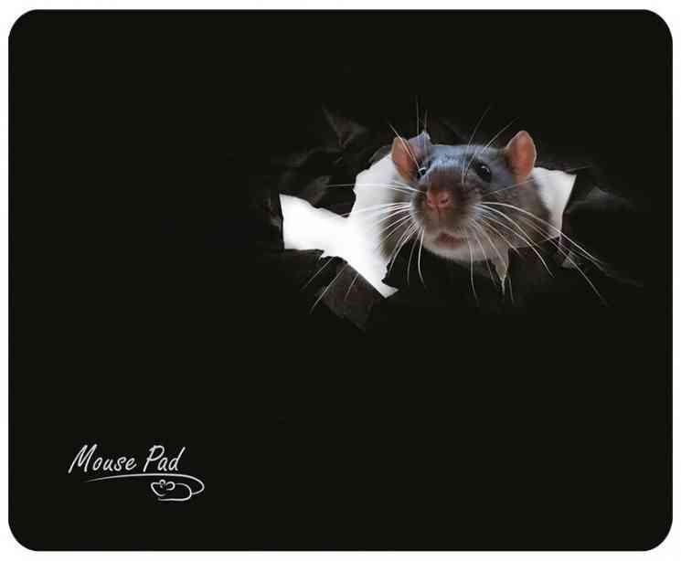 DIALOG PM-H15 mouse - черный с рисунком мышки Коврик для мыши