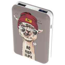 Внешний аккумулятор RITMIX RPB-10007 Paint 10000мАч выход 2xUSB 5В 2,4А max